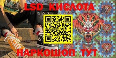 дмт Камышлов