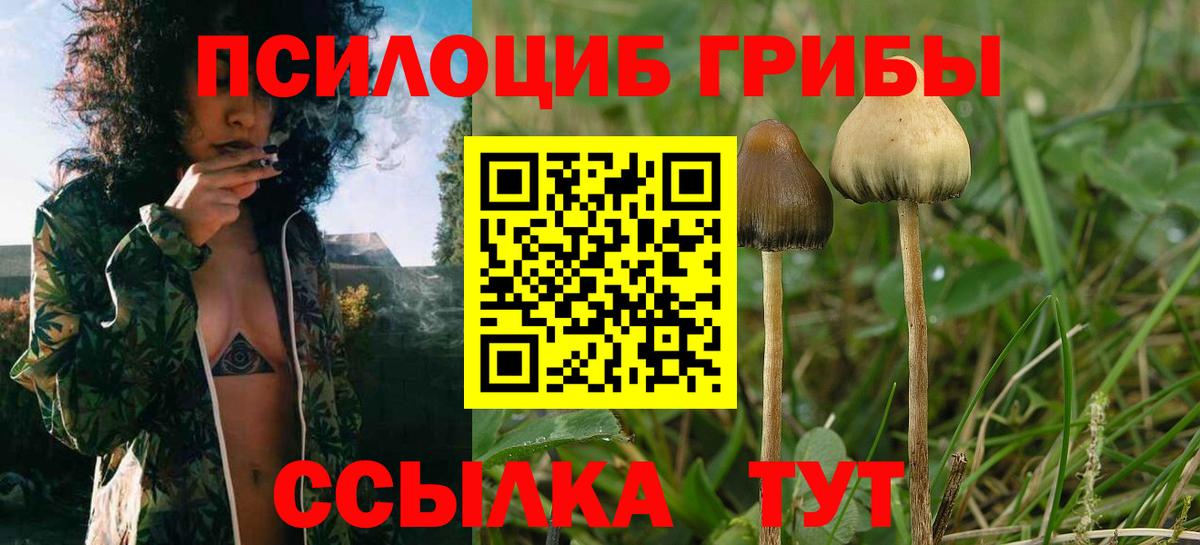Галлюциногенные грибы мухоморы Краснознаменск