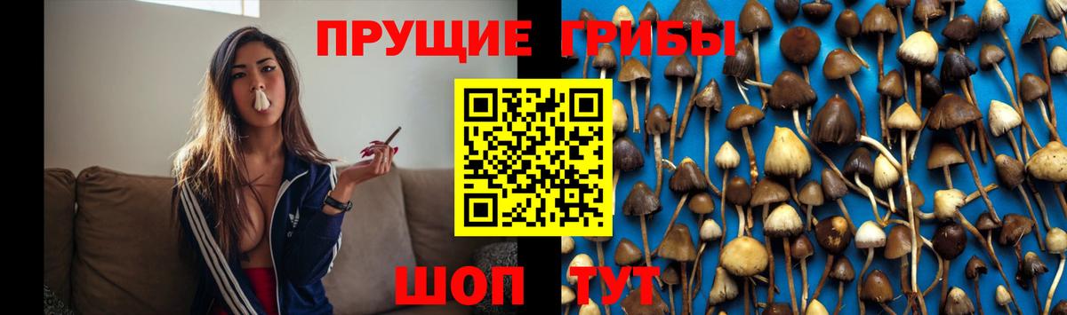 Галлюциногенные грибы мицелий  Вход с VPN  Краснознаменск 